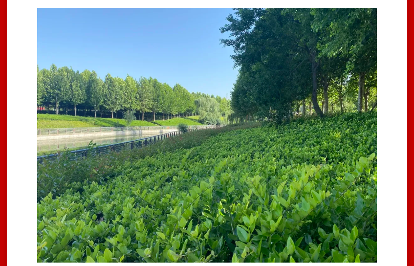 年终薅好房，，，这个明星红盘把“出圈”举行究竟！